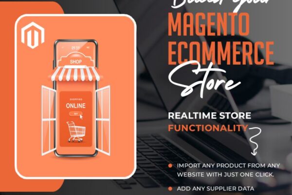 Magento Developer